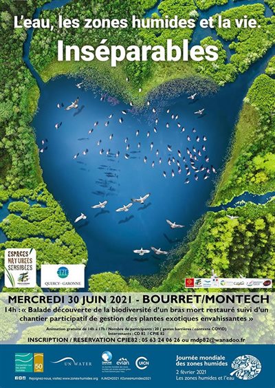 Balade découverte à Bourret / Montech