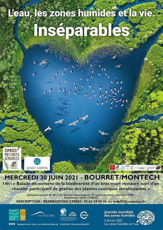 Ballade découverte à Bourret / Montech