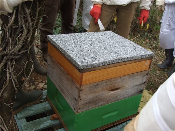 Rucher-école : Pose des isolants pour hivernage des ruches