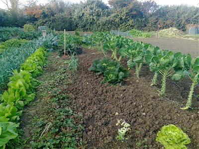 Le Club des jardiniers de Caylus 2022 : première réunion 
