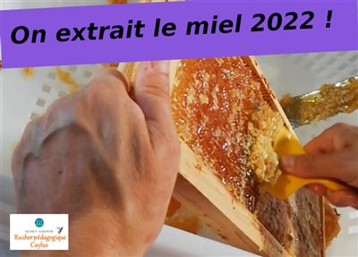 Rucher-Ecole : une vidéo de l'extraction du miel 