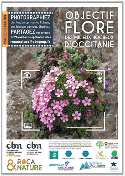 CONCOURS PHOTOS ROCANATURE : objectif flore des milieux rocheux d'Occitanie
