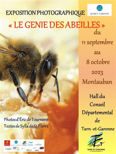 L'exposition photographique  "Le Génie des abeilles " à Montauban du 11 septembre au 8 octobre