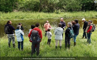  Retour sur la balade à la découverte de la biodiversité d'une zone humide restaurée