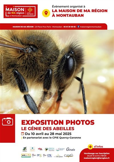 Le génie des abeilles