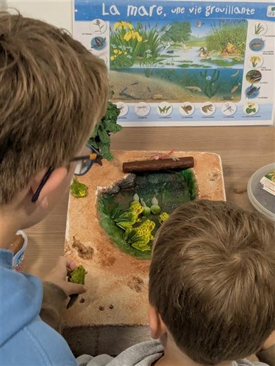 Focus sur la biodiversité des mares