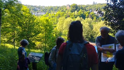 Des roches, des sols et des paysages