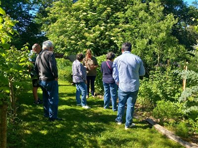 De Caylus à Montauban : Les jardins au naturel ont enchanté de nombreux visiteurs