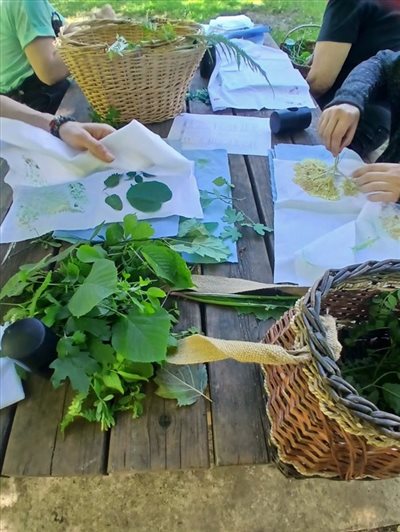 Le printemps du CPIE Quercy-Garonne : une immersion nature et biodiversité