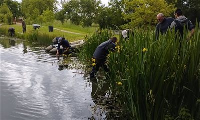 Puylaroque : Lutte active contre la Myriophylle du Brésil