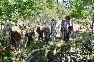 Découverte des amphibiens sur le sentier de Lou Finot