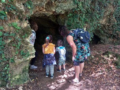 Une sortie nature animée sur le sentier du Martinet noir