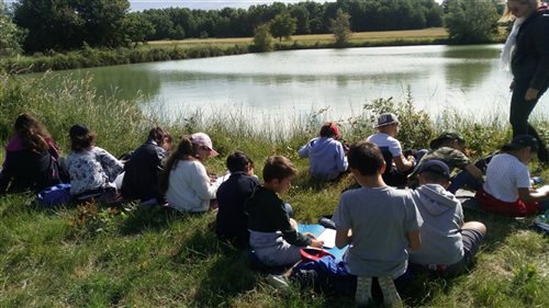 Une sortie scolaire au bord d'un étang
