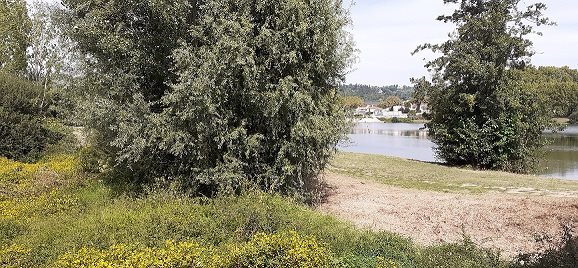 ENS Beaucaire Moissac
