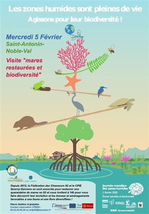 Affiche Journée zone humide 2020