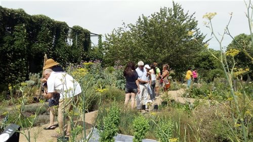 Visite jardin