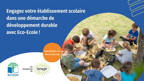 image ECO ECOLE