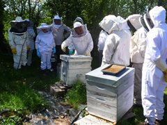 Visite de printemps