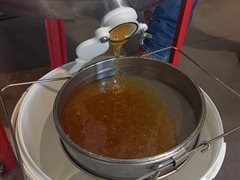 Extraction 2022 filtration