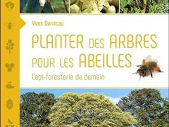 Planter des arbres pour les abeilles