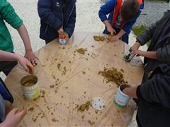 Fabrication de gîtes à osmies