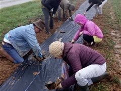 Club des jardiniers : chantier participatif plantation haie