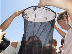 Inventaire avec des scolaires