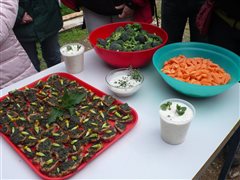 Atelier cuisiner les plantes sauvages