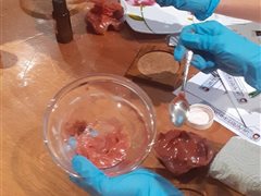 Ateleir saponification