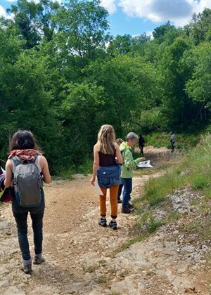 Découverte de la biodiversité dans le vallon de Saint-Symphorien