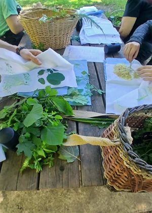 Le printemps du CPIE Quercy-Garonne : une immersion nature et biodiversité