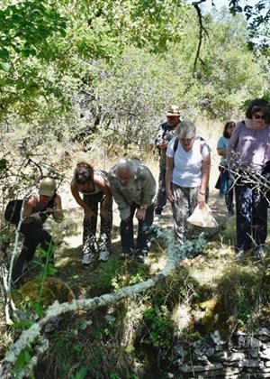 Découverte des amphibiens sur le sentier de Lou Finot