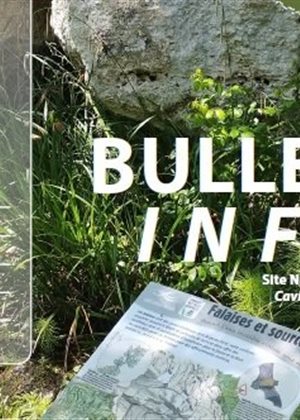 Le bulletin d'infos 2025 n°13 du site Natura 2000 Cavités et Coteaux Associés en Quercy-Gascogne est disponible !