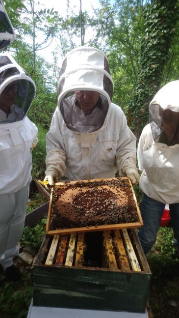 Réunion Démarrage du Rucher-Ecole 2022 - Séance mai 2021 visite des ruches