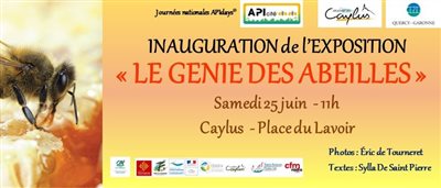 Inauguration de l’exposition « le Génie des abeilles » " Samedi 25 juin - Caylus 11 h