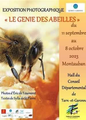 L'exposition photographique  "Le Génie des abeilles " à Montauban du 11 septembre au 8 octobre
