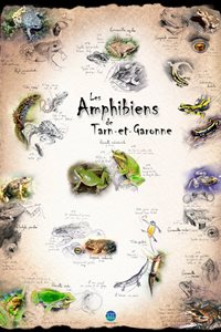 Poster Amphibiens Tarn et Garonne