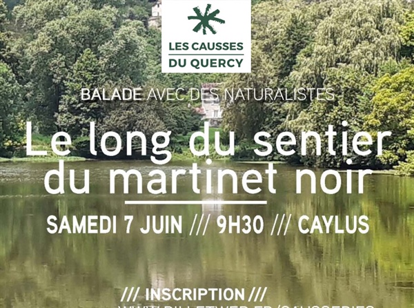Causserie du PNR des Causses du Quercy : Balade avec des naturalistes le long du sentier du Martinet Noir