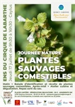 Journée Nature : Plantes sauvages comestibles