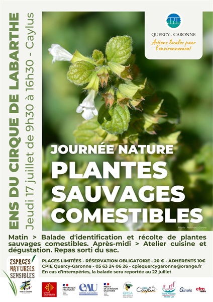 Journée Nature : Plantes sauvages comestibles