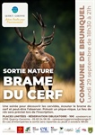 Sortie Nature : Brame du Cerf