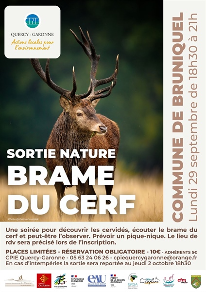 Sortie Nature : Brame du Cerf