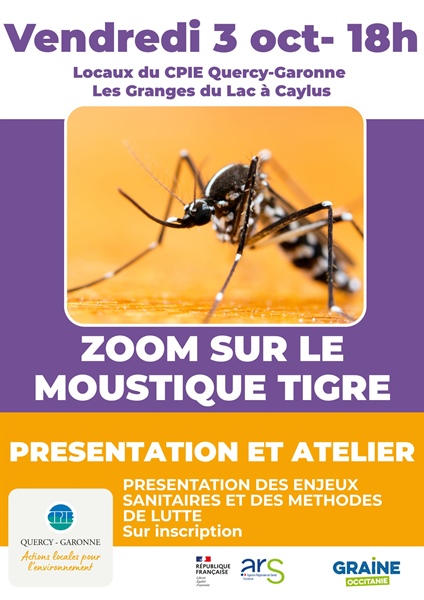 Stand Pik'tro - ZOOM sur moustique tigre