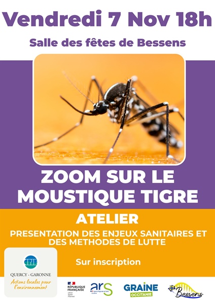 Stand Pik'tro - ZOOM sur moustique tigre