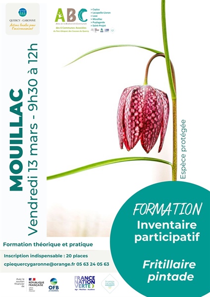 Formation Inventaire Participatif Fritillaire Pintade- Atlas de la Biodiversité des 6 communes associées