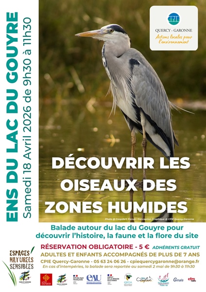 A la découverte des oiseaux des zones humides sur l'ENS du lac du Gouyre