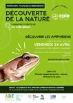 Sortie Nocturne amphibiens