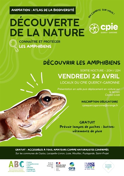 Sortie Nocturne amphibiens