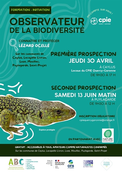 Formation Inventaire participatif Lézard Ocellé - première journée