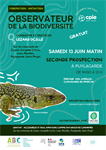 Formation Inventaire participatif Lézard Ocellé - seconde journée